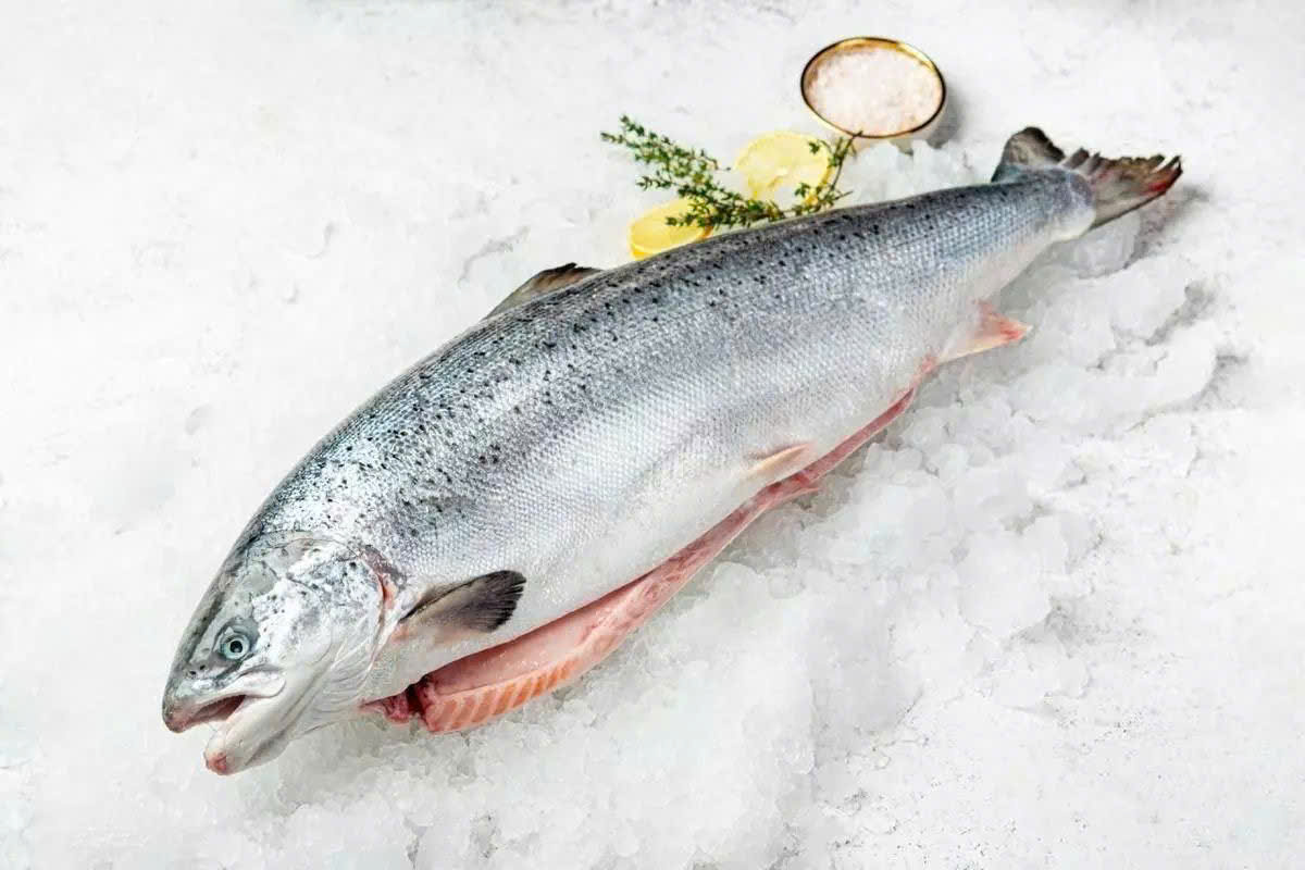 cá hồi tươi, cá hồi giá tốt, cá hồi nhập