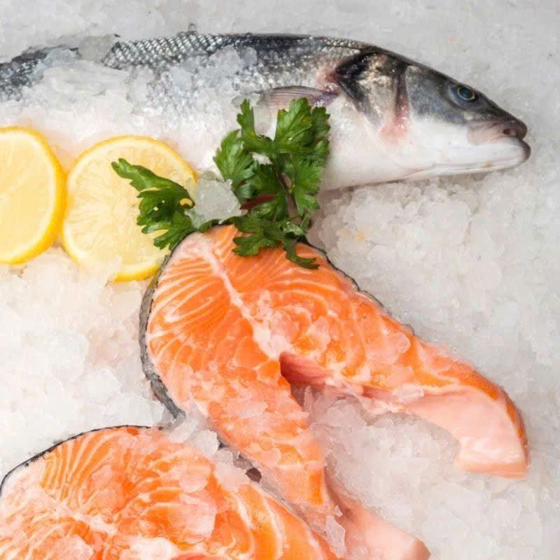 cá hồi tươi, cá hồi giá tốt, cá hồi nhập