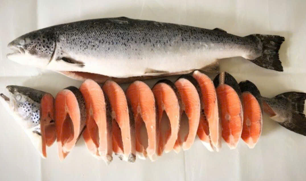 cá hồi tươi, cá hồi giá tốt, cá hồi nhập